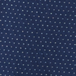 Navy Print