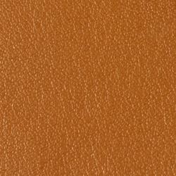 Saddle