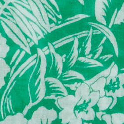Palm Leaf
