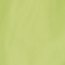 Electric Lime
