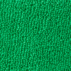 Palm Leaf