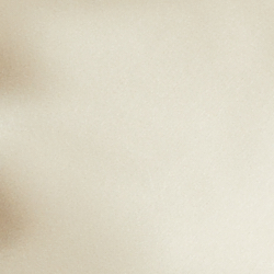 Spring Beige