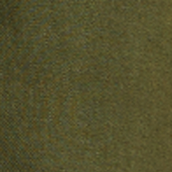 New Olive