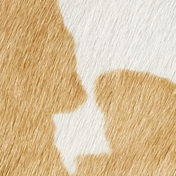 Ivory Multi