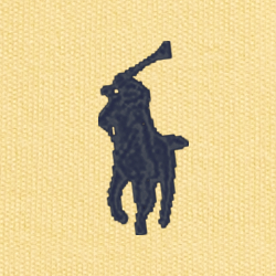Corn Yellow