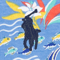Hawaiin Blue