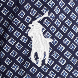 Bayberry Foulard/Navy