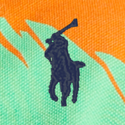 California Volley Print