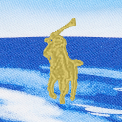 Long Boarder Print