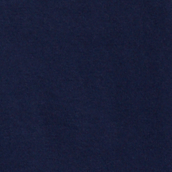 Cruise Navy