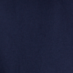 Cruise Navy