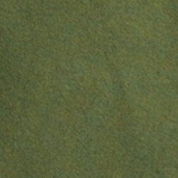 Supply Olive