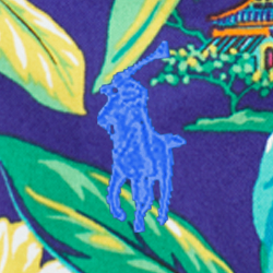 Dragon Tropical