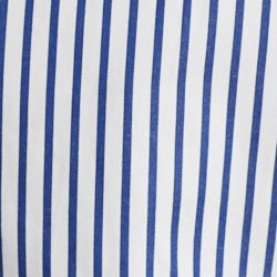 White/Blue