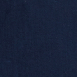 Cruise Navy