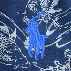 Koi