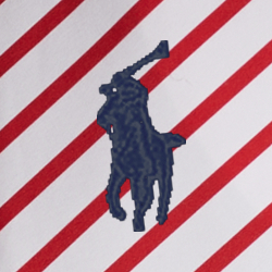 Americana Funshort