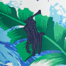 Seabreeze Tropical
