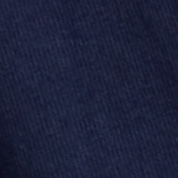 Cruise Navy/Regatta Bear