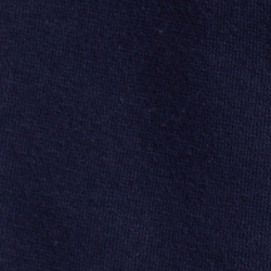 Cruise Navy/Regatta Bear
