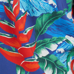 Sea Breeze Tropical