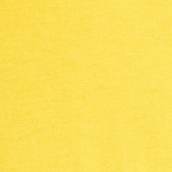 Canary Yellow