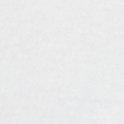 White Regatta Bear