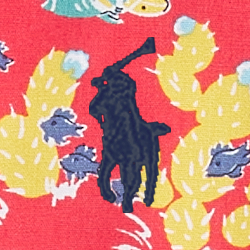 Korallenriff-Hawaii-Druck