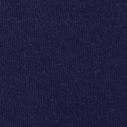 Cruise Navy