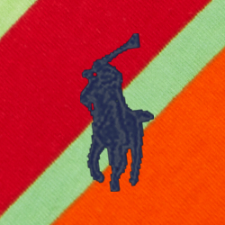 Regatta-Orange multi