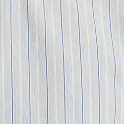 Blue/White