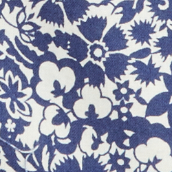 Bleu bloc bois luxuriant