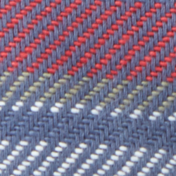 Plaid Multi