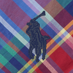 Karohemd aus Baumwollpopeline