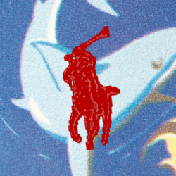 Blue Bearwaiian Print