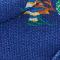 Blue Bearwaiian Print