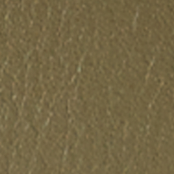 Olive Fern/Botanic Green