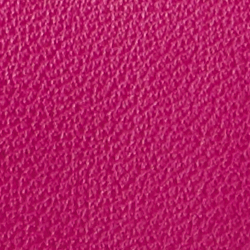 Fuschia Berry