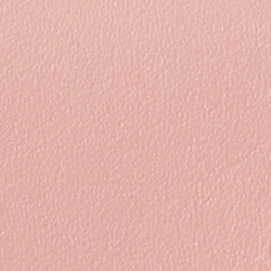 Rose Tan/Paisley Plum