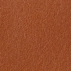 Tan/Paisley Sunstone