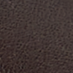 Chestnut Brown