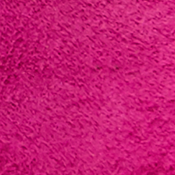 Fuschia Berry