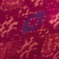 Fuchsia Multi