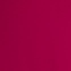 Fuchsia Berry