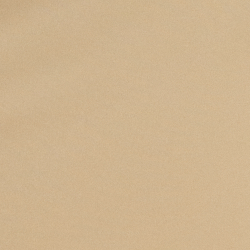 Birch Tan