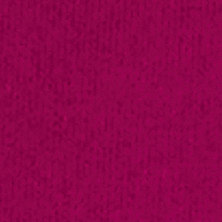 Fuchsia Berry