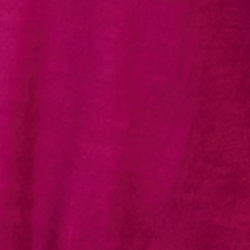 Fuchsia Berry