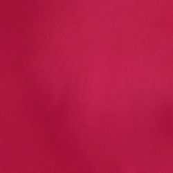 Fuchsia Berry