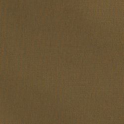 Olive Fern