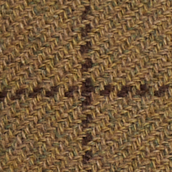 Olive Multi